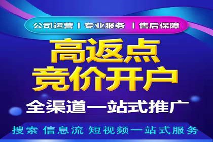 网络推广竞价实战：某电商平台的成功案例